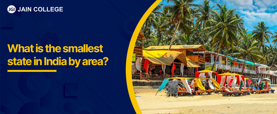 What is the smallest state in India by area?
