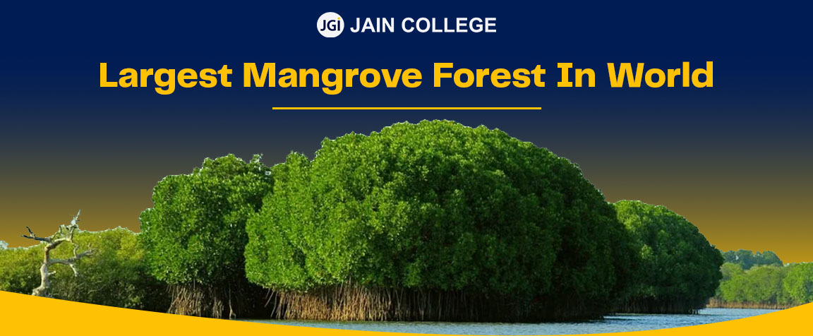 Largest mangrove forest in world