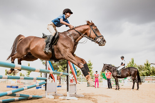 Equestrian Horse Riding