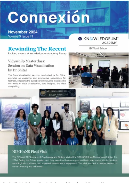 November 2024 (Volume 3, Issue 11)